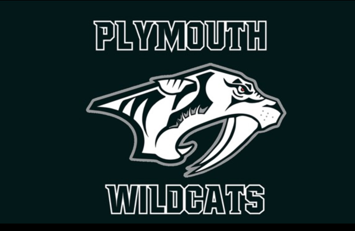 5’ x 3’ Plymouth Wildcat Flag